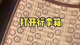 养猫人怎么收拾行李箱
