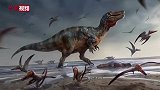 英国发现欧洲已知最大陆地恐龙化石