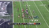 NFL-1617赛季-季后赛-超级碗-爱国者布拉迪6码传球阿曼多拉达阵 猎鹰28:20爱国者-花絮