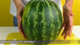 日本的方形西瓜 一个价格高达20000元！切开后却懵了