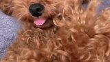 不要这样看人家啦