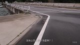 在日本猫岛被一群猫追了之后