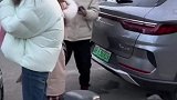 狗狗坐在驾驶位引的路人纷纷围拍