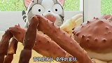 甜甜私房猫：小猫第一次见大螃蟹！被吓到翻白眼！