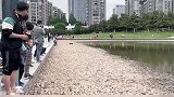 四驱玩具车水上玩漂移，稳如老狗看呆路人