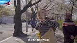 谁说看樱花一定要去日本？韩国最全樱花游攻略来啦