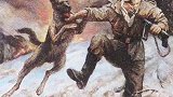 它就是军犬“犬文尔”，中文意思是忠诚，它的主人在一次侦察敌情中去世，犬文尔蛰伏8年终于为主人报仇血恨