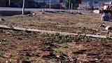 西藏一个村庄。人口稀少。