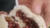 媳妇给做的豆沙包掰开豆子撒一碗