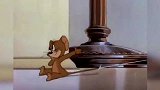 猫和老鼠：汤姆的腰也不行啊，炸毛就这么高，看看人家野猫