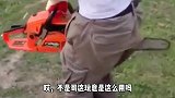 看来今年注定要有一场恶战啊