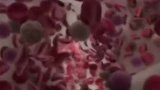 看到这些默默守护我们的细胞军队，你还会觉得孤独吗