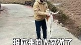 万万没想打到啊，报应来得太突然了