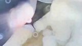 好不容易钓到的鱼兜兜转转跑了