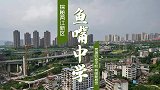 凉快了，快出去拍照吧！鱼嘴老街，也挺怀旧的