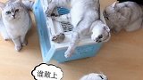 我不敢我帮不上你们