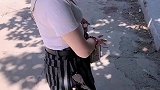 你好问一下湿地怎么走啊