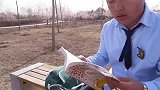 二浪嘲笑阿宝没有超能力，谁知阿宝竟变身迪迦称霸宇宙，神反转