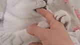 他还生气了