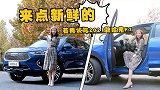 哈弗H6同胞兄弟，若楠试驾2021款哈弗F7