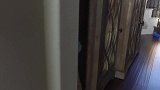 五胞胎老三和爸爸玩捉迷藏，这甜甜的笑让人心都化了