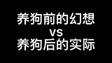 养狗前的幻想vs养狗后的实际