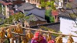 此情此景，文案你来
