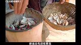 古代肥皂居然是贝壳和猪油做的