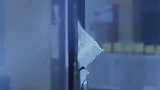 乌鸦哥，也是你们能惹的