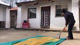 甘肃老家下雪的冬天，屋里两个女人热炕上吃馓饭，招待亲戚都用它