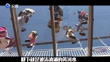 厉害了我的中国！横跨黄河的3D玻璃天桥刷爆朋友圈！