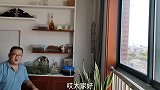 为何有的鱼缸长青苔？有的长褐藻？余月用事实告诉你真相