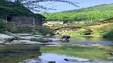 给你五万一个月，住在山里五年不出山，你愿意吗