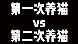 第一次养猫和第二次养猫