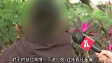 54岁阿姨贷款打赏男主播，病逝给女儿留百万欠款，债务该由谁来背？