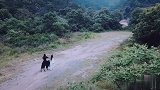 这或许才是《陈情令》最好的结局。