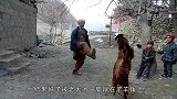 山羊攻击小伙，反被一招制服，山羊：好家伙还是个练家子呀！