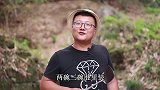 3斤牛肉3斤番茄，做一份“番茄牛腩”汤汁浓郁，太下饭了
