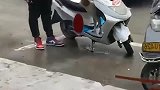 流浪狗强行要搭便车, 老哥真是太无奈了, 你到底看上我车哪点