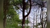 搞笑段子；昌付说大哥和大嫂吵架要去帮忙，结果笑尿了