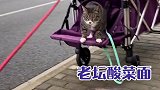 猫妹也是换了好几代皮肤与载具的呢！ 家乡刘伶醉新春共举杯  刘伶醉酒 哈哥猫妹 牛肉面变装