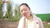 爆笑喜剧：二叔问路遇到好心人，没想俩人却干了件蠢事，太搞笑了