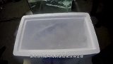 把淡水鱼放进海水中，鱼会怎么样跟随镜头来看一看