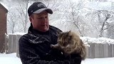 猫咪出生以来第一次看到雪，主人带猫咪到雪地里长见识