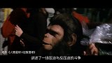龙斌大话电影-科幻解码之《人猿星球》进化与智慧