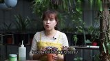 4月份，多肉的养护重点有哪些？看完明白了