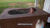 如果你一直洗冷水澡，身体会发生什么变化？