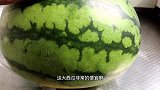花了2元买了一个30斤大西瓜，用手掰开那一刻，赚大了
