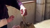 被小女孩的懂事感动，对太奶奶有着无微不至的关怀