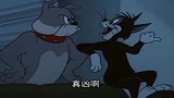 猫和老鼠：野猫们都在笑话大狗，结果大狗就在身后